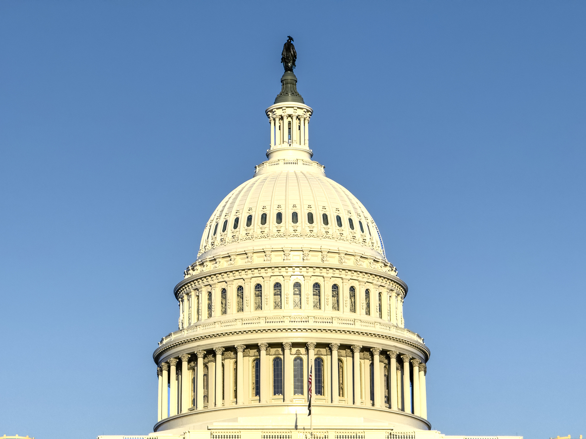 U.S. Capital Dome