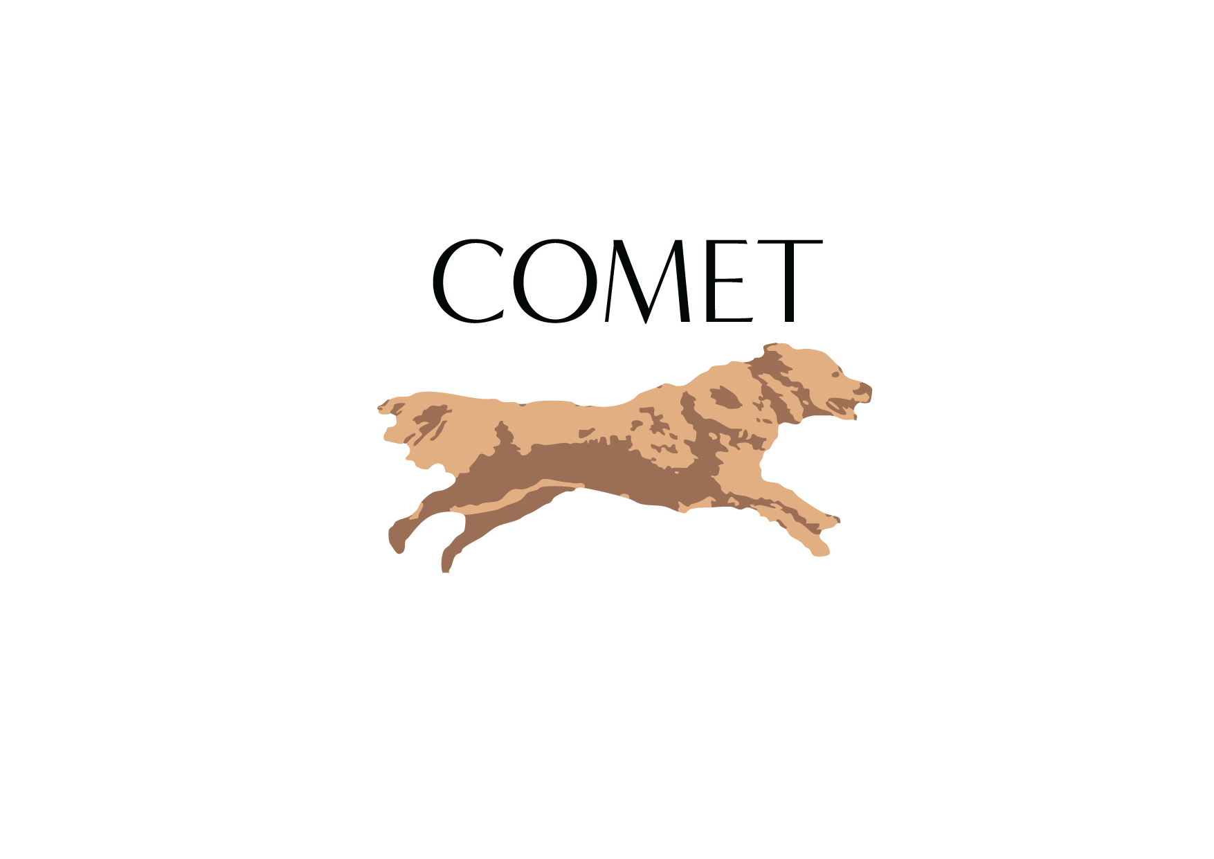 COMET logo